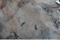 Photo Texture of Ground Sand 0002